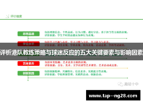 评析港队教练策略与球迷反应的五大关键要素与影响因素 评析港队教练策略与球迷反应的五大关键要素与影响因素