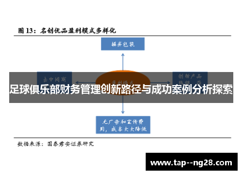 足球俱乐部财务管理创新路径与成功案例分析探索