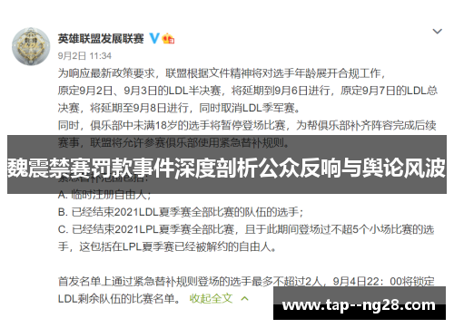 魏震禁赛罚款事件深度剖析公众反响与舆论风波
